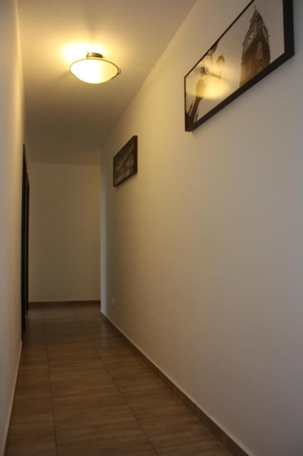 Гостевой дом Casa Ianis Брашов-12